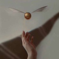 potteroman3107