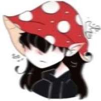 user75491310