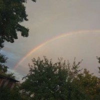 gdgdtghg