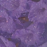lia3429
