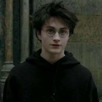 harrypotter-seva