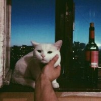mironovaa