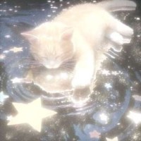 meowllich