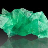 green-leaf251