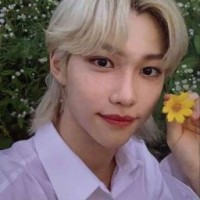 user61178669