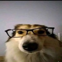 pump-bitch