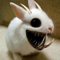 the-world-of-fandoms