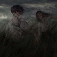 mmara-084