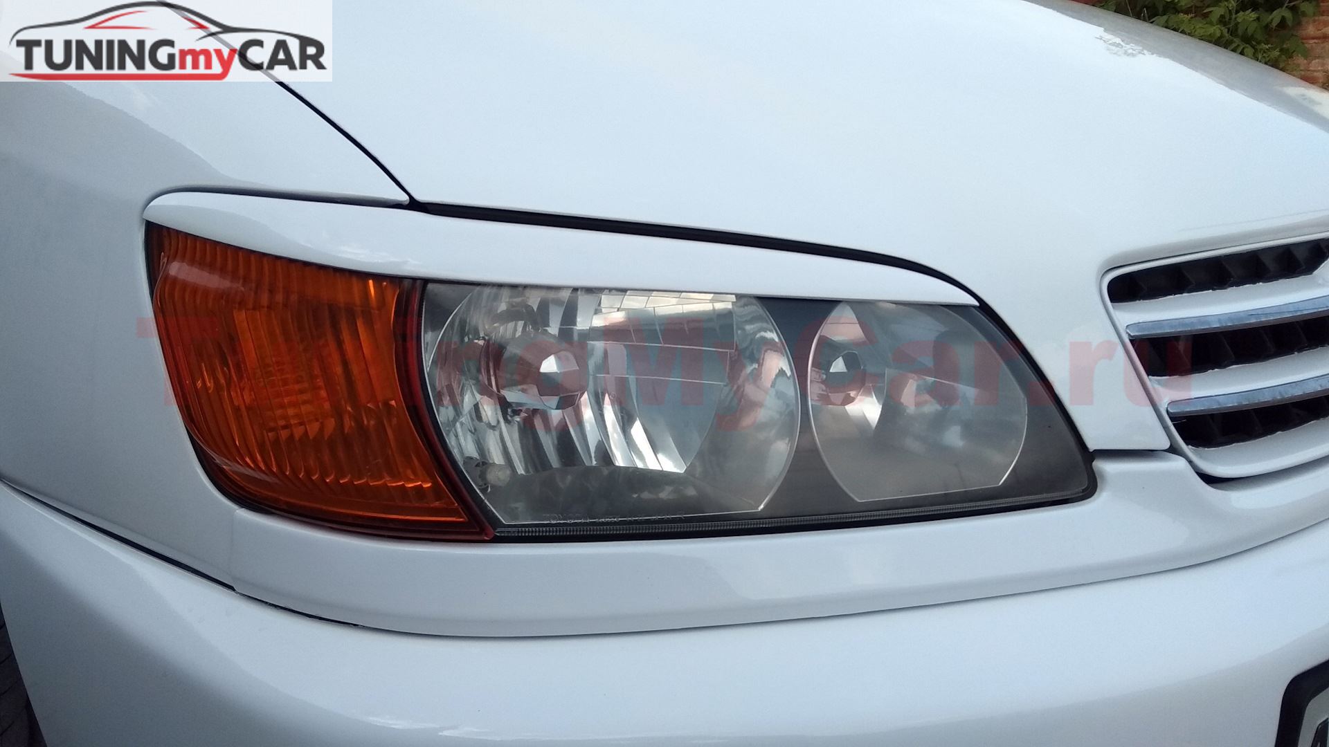 Реснички на фары для Toyota Ipsum 1996-2001 SXM10