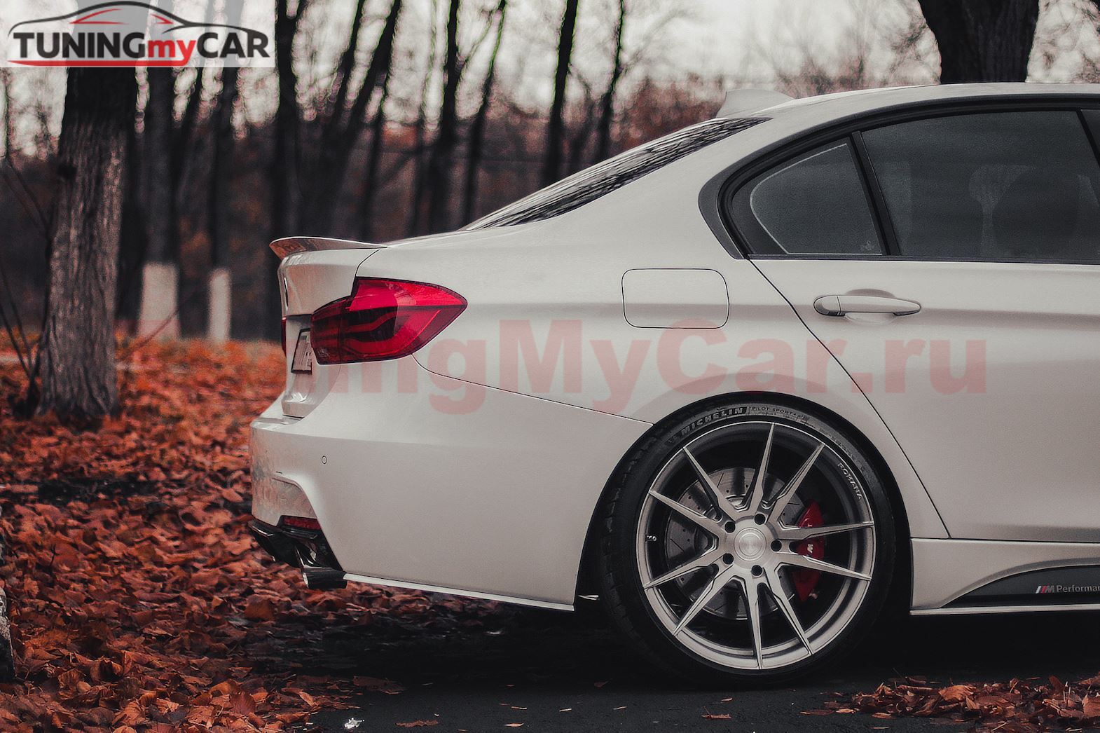 Накладки под задний бампер (мини-лезвия)  для BMW 3-series (F30) Глянцевый