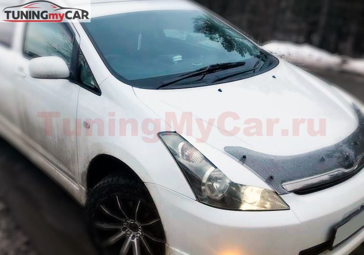 Реснички на фары для Toyota Wish ANE10 широкие