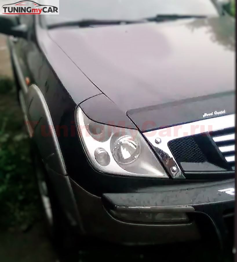 Реснички на фары для Ssang Yong Rexton 2001-