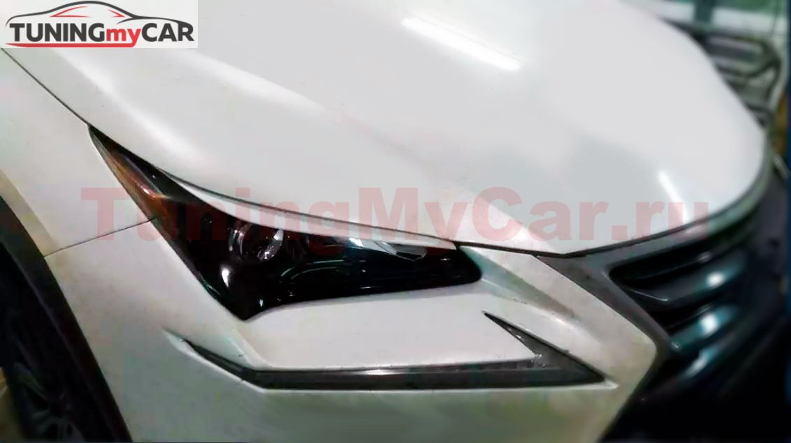 Реснички на фары для LEXUS NX200/200t (Z10) 2014-2017