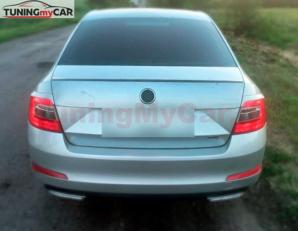 Накладки на задние фонари (реснички) для Skoda Octavia A7 2012-2017 (III дорестайлинг)