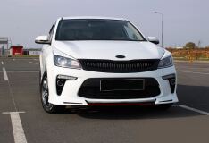 Клыки + средняя вставка между клыками Kia Rio 4