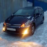 Реснички на фары для Toyota Wish ANE10 узкие, простая оптика