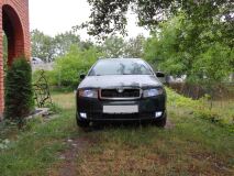 Реснички на фары SKODA FABIA MK1