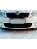 Зимняя заглушка решетки переднего бампера Octavia A5 (лифтбек) 2008—2013