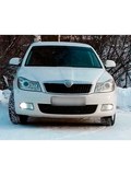 Зимняя заглушка решетки переднего бампера Octavia A5 (лифтбек) 2008—2013