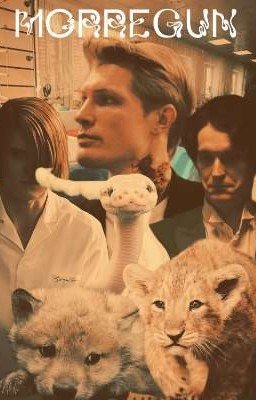 грумминг салон для волчат, львят и прочих рептилий