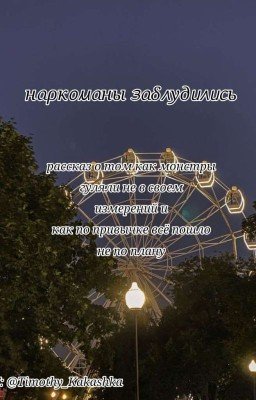 наркоманы заблудились