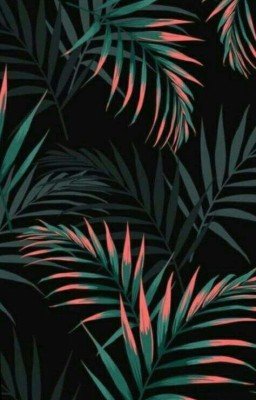 Картинки, фото для историй. Необычная подборка!!!