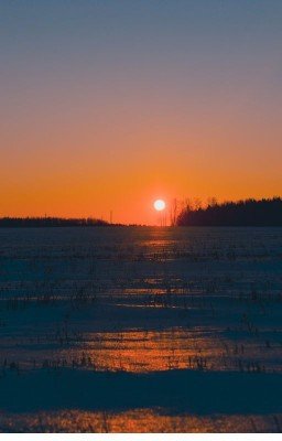 История Без Названия