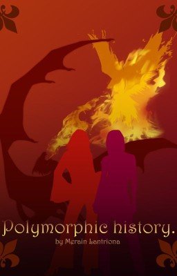 Полиморфная История