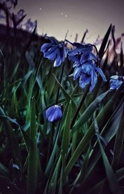 В поисках света во тьме.