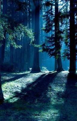 Конец Ёсивары