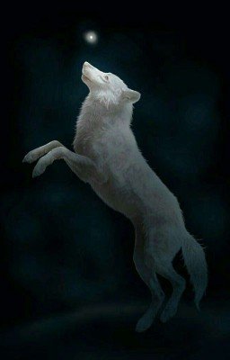 Легенда о сыне графском и белом волке 