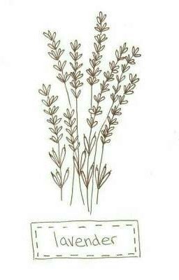 lavander~ ｛ред.｝