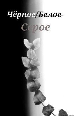 ̶Ч̶ё̶р̶н̶о̶е̶/̶б̶е̶л̶о̶е̶. Серое.