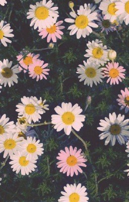 ~ Каяо и Хранители Самоцветов ~