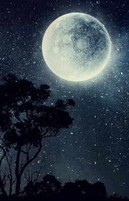 Не волнуйся, ты умрёшь страдая