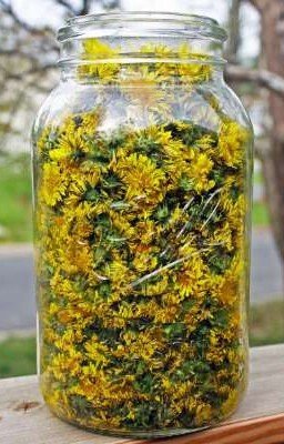 Речи бунтовщика