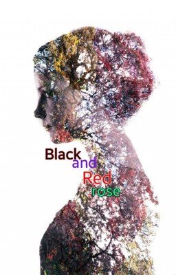 Черно-красная роза