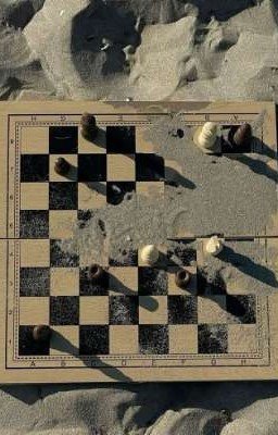Шахматы.