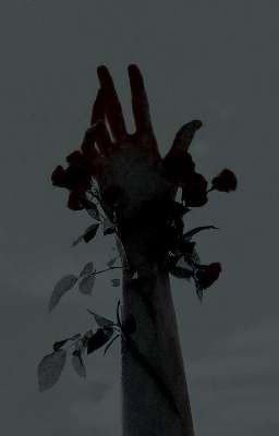 Дорога полна слёз не дожидаясь конца.Жизнь наркотиков одна прошу не дай ей конца