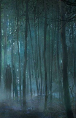 Лес оккультизма