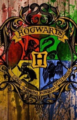 Отряд Снегга и наследники факультетов 