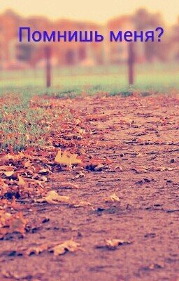 Помнишь меня?