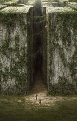 Бегущий в лабиринте, переменная.