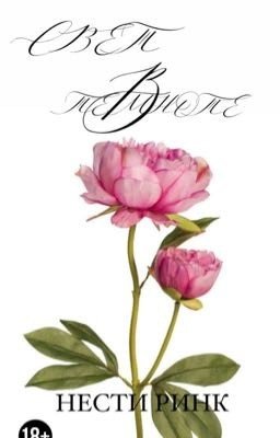 СВЕТ В ТЕМНОТЕ 