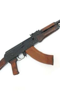 В пустынях Ливии и Алжира