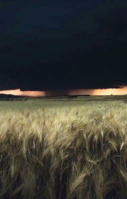 Истинная красота 