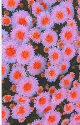 Книга заказов 