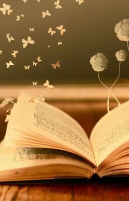 Слова. Фразы. Книги.