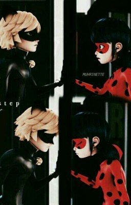 Котик решился, но что потом?