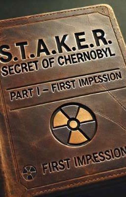 S.T.A.L.K.E.R. Загадка Чернобыля Часть І: Первое Впечатление 
